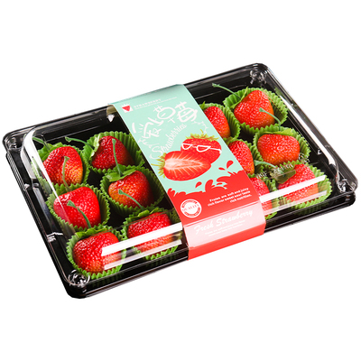 高档精品草莓盒打包盒子一次性塑料水果包装盒长方形光面草莓托盘