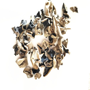 东北特产小秋耳 椴木小厚耳 无根免摘秋木耳一件半斤特价两件包邮