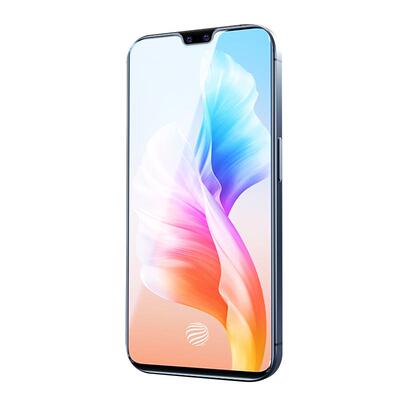 白洛适用vivos10钢化膜