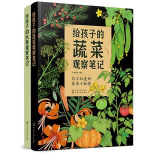礼盒装2册 给孩子的果蔬观察笔记 蔬菜+水果 赠涂色线稿6-13岁中小学生儿童课外阅读作文大自然观察笔记探索植物科普艺术绘本书籍