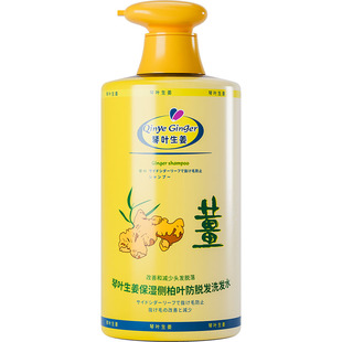 琴叶生姜防脱发强根保养洗发水滋润洗头水控油去屑蓬松姜汁洗发露