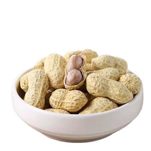 龙岩花生蒜香五香咸干盐水煮白晒干花生米炒货坚果零食品熟批发