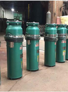 花园假山池塘专用造景泵 QSPF不锈钢卧倒式水泵 园林用喷泉潜水泵