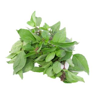 【沁蕊】新鲜九层塔叶500g金不换亚洲罗勒三杯鸡冬阴功香料九层塔