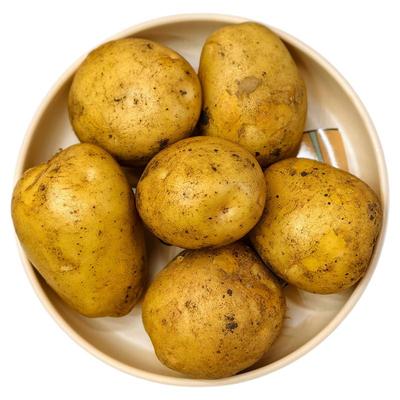 黄皮土豆黄心新鲜农家现挖马铃薯正宗洋芋整箱当季蔬菜东北黑龙江