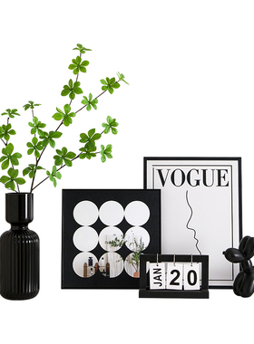 电视柜摆件客厅玄关鞋柜装饰品轻奢高档花瓶装饰画房间改造小物件