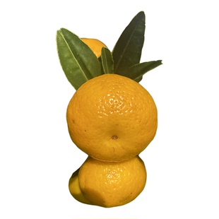 正宗南丰蜜桔自家果园种植的纯甜当季