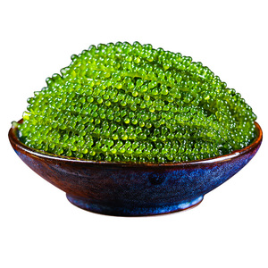 渔知乐即食盐渍海葡萄网红凉拌菜