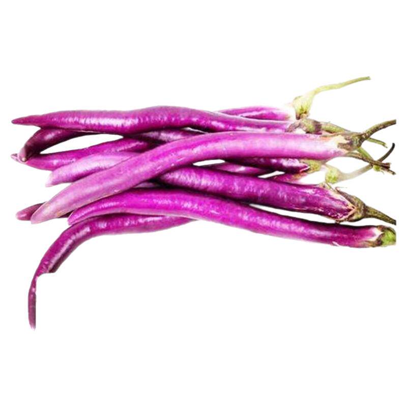 【老一生鲜】新鲜  长茄子 长茄  茄子500g