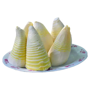 竹笋冬笋新鲜2025新鲜水煮笋野生竹笋春笋蔬菜火锅清水笋楠竹笋