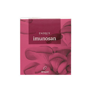 捷克energy安能聚元气胶囊精气神缓解气血虚弱疲劳人参当归90粒