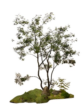 海虹雅林仿真绿植假树
