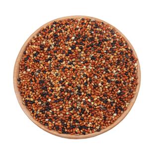 鹦鹉饲料鸟粮带壳谷子小米鸟食玄凤虎皮牡丹专用五色黍子5斤粮食