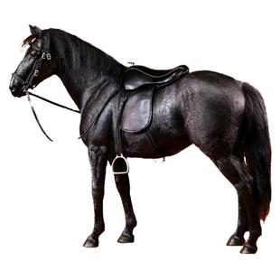 Mrz 官方 马模型1/6德国汉诺威温血马仿真手办战马兵人坐骑摆件