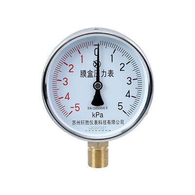 YE100膜盒压力表稳定可靠精准
