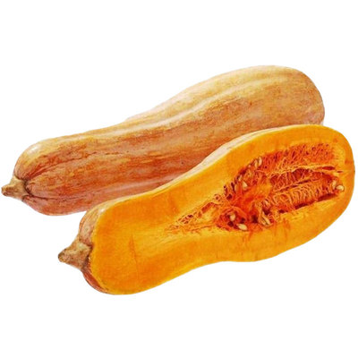 健美蜜本南瓜种子方四季种植高产