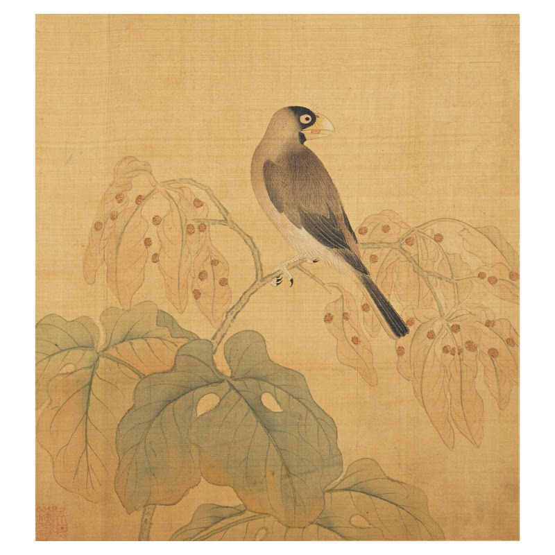 钱选写生工笔花鸟画册20幅