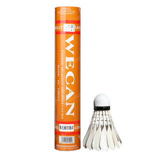 新品橙威肯羽毛球耐打飞行稳定鹅毛球馆专业训练比赛球耐用12只装