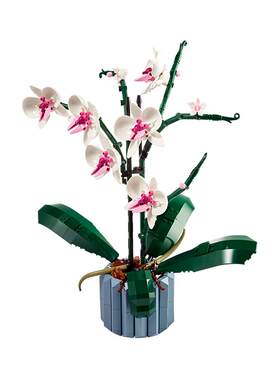 乐高10311兰花永生花积木玩具