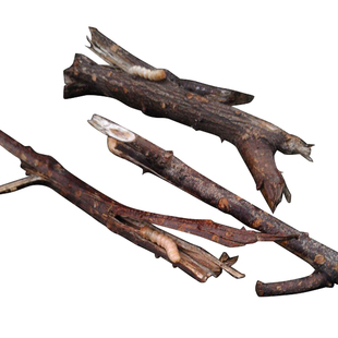 正宗野生斗米虫活体云实蛀虫天牛幼虫宝宝吃饭香益脾胃浙江发货