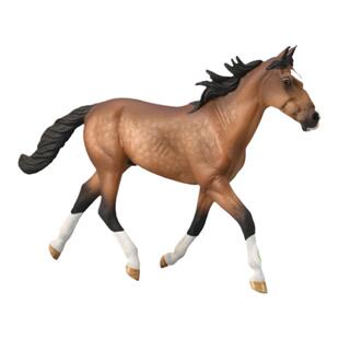 【80004标准种公马】CollectA官方授权正版动物模型早教玩具