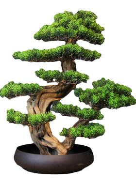 新中式风绿植迎客松微景观装饰品