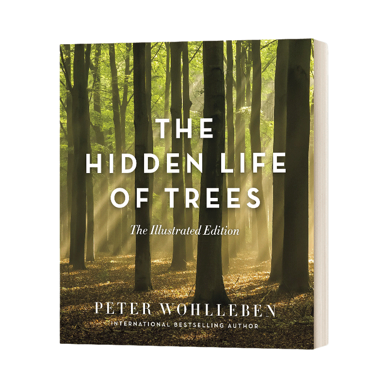 英文原版 精装 The Hidden Life of Trees 树的秘密生命 精装插图版 英文版 进口英语原版书籍