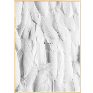 黑白羽毛双联挂画信念与梦想装饰画卧室画餐厅画北欧简约书房饭厅