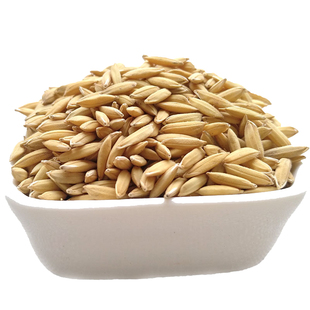 稻谷带壳10斤喂鸡鸭鹅鸽鸟食圈养禽饲料水稻谷种子宠物新鲜原粮