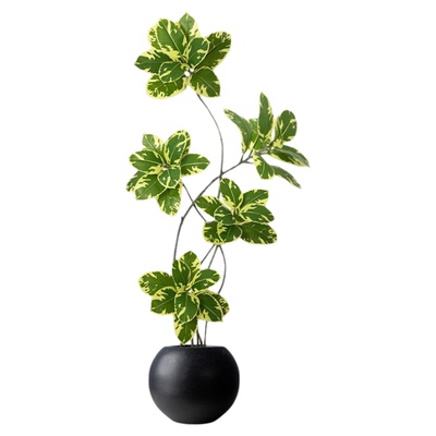 假绿植装饰仿真黄金榕室内盆栽大型落地摆件客厅轻奢仿生植物逼真