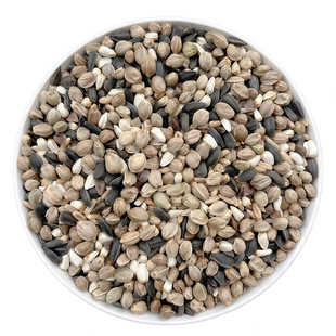 有鹦小太阳和尚专用鹦鹉鸟粮金太阳鹦鹉混合粮高能种子粮营养饲料