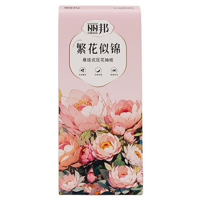 丽邦繁花似锦挂式抽纸家用