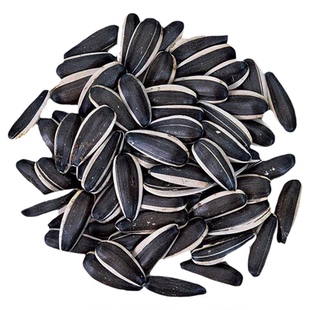 生瓜子葵花籽新货薄皮363特大颗粒内蒙古5斤散装新鲜现炒原味瓜子