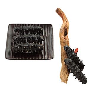 淡干海参长岛无人区深海海参刺参高泡发非即食海参礼盒200g/500g