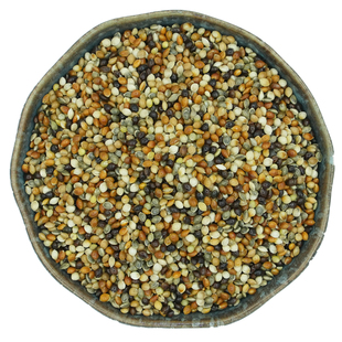 五色黍子鸟粮鹦鹉饲料黍子虎皮牡丹鹦鹉粮五色糜子饱满新粮黍谷