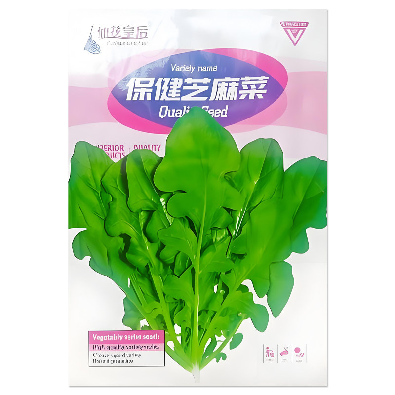 芝麻菜种子大叶大宽叶臭菜种子