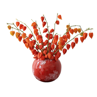 灯笼果酸浆果干花花束客厅摆设果实干枝天然风干真花新年装饰插花