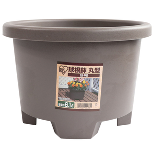 薄荷园艺 爱丽思圆形球根花盆塑料番红花虎眼万年青四角方型花钵