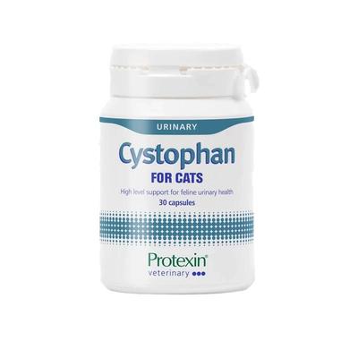 泌尿保护普乐特新缓情绪英国进口