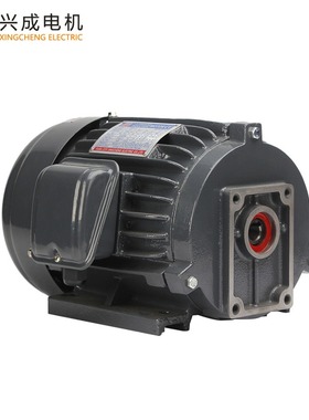 液压油泵YT100L液压组3KW配CBN油泵4HP油泵止口38卧式电机