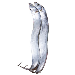 隽品湾大连渤海湾刀鱼海捕小眼超大带鱼冷冻无冰衣非舟山送礼佳品