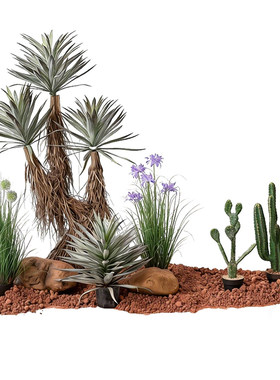高级仿真仙人掌沙生植物造景摆件