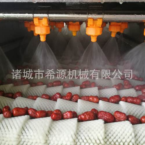果蔬清洗风干流水线设备 5000型苹果加工清洗机 翻转式风干线设备
