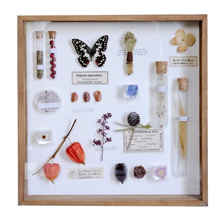 复古植物标本装饰画美式北欧风格中古田园书房咖啡馆软转创意礼物