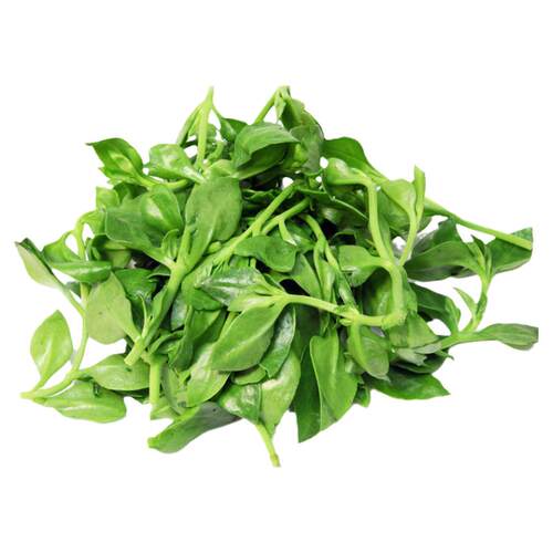 养心菜救心菜种子救心草高钙菜景天三七费菜种苗种子四季盆栽菜叶