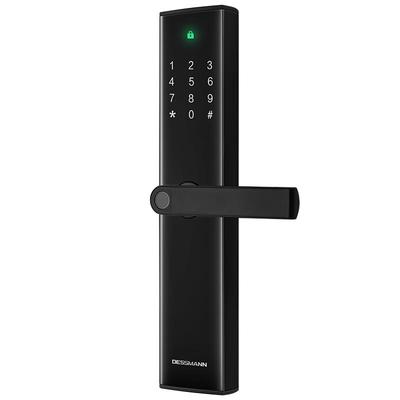 德施曼密码锁家用防盗门