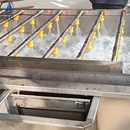 蔬菜加工清洗设备果蔬气泡清洗机水果中药材水产品喷淋清洗去农残