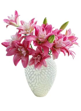 精品百合鲜花多头云南基地冷链发