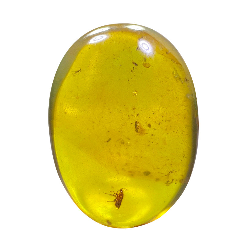 纯天然琥珀蜜蜡缘蝽昆虫化石吊坠