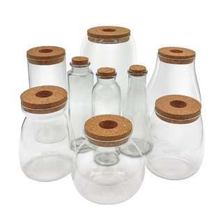 生态瓶DIY鱼微景观生态球高朋硅创意DIY设计花瓶玻璃鱼缸办公桌